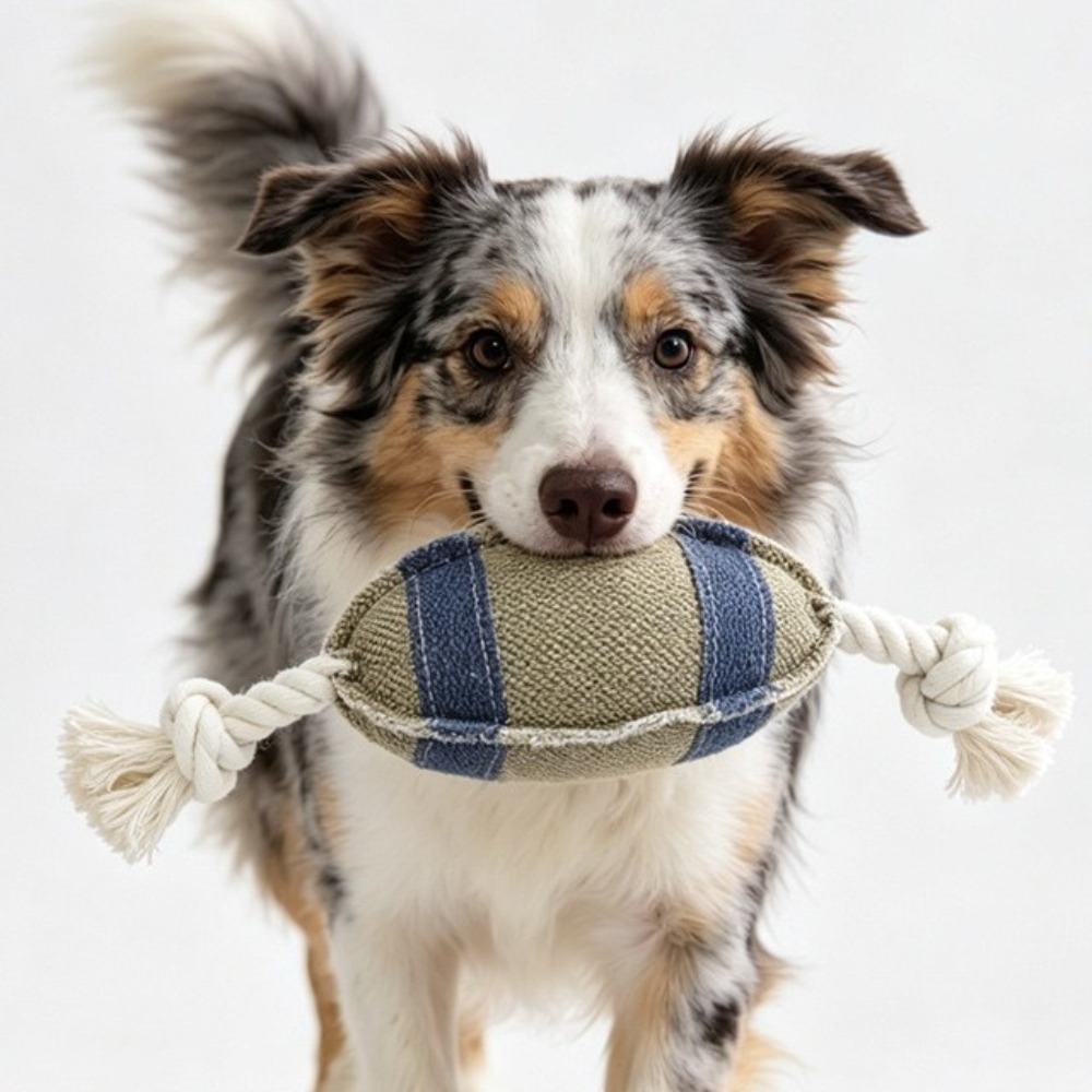 Bite Resistant Dog Chew Rugby  - Rugby Training Ball 评论和价格